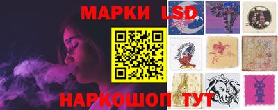 индика Бердск