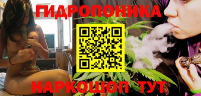 индика Бердск