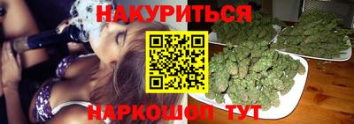 индика Бердск