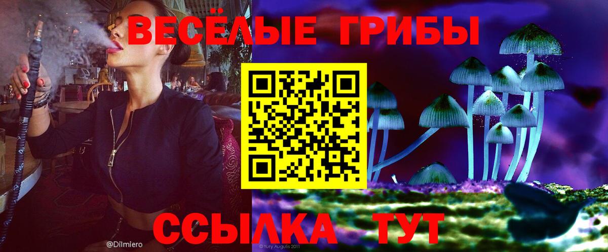 Галлюциногенные грибы мухоморы  Псилоцибиновые грибы мицелий  купить наркотик  Вход с VPN  Вятские Поляны 